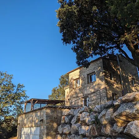 Le Grand Chene - Holiday home *